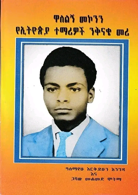 Wallelign Mekonnen: The Man and the Idea