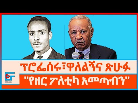 The Ethiopian Student Movement